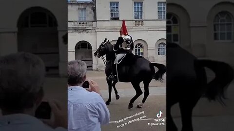 Horse spooked guard stays in control #horseguardsparade