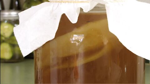 LF11 Kombucha | Lacto-Fermentation eCourse Lesson 11