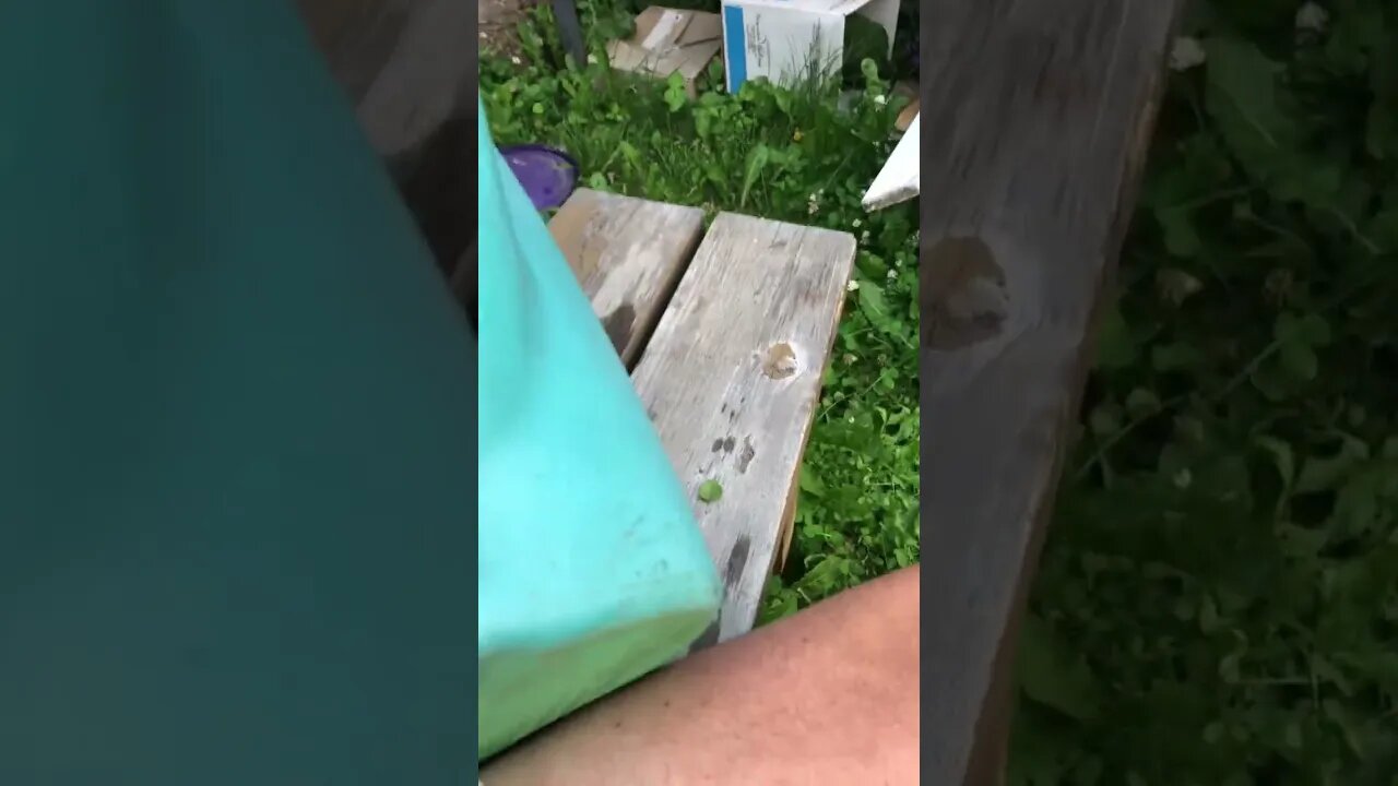 Watering Container is Toast