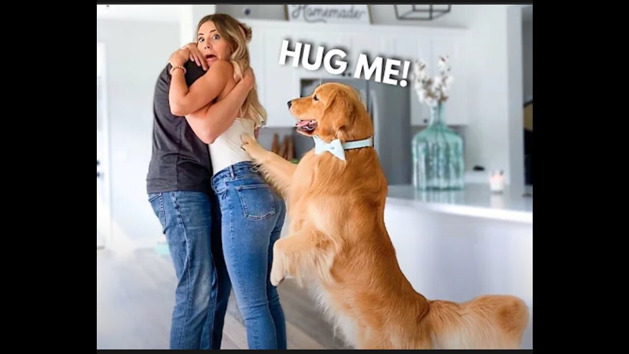 This Is What My Dog Does When I Hug My Husband