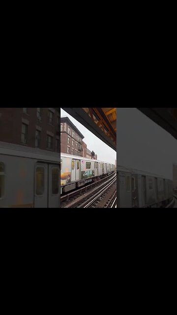 Don't Try This 😱 Guy Standing In Top Of The Train #train