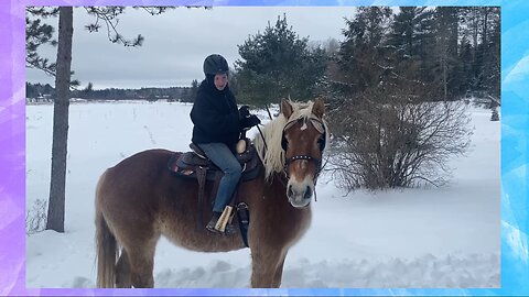 Riding 2 Of My DRAFT HORSES!!