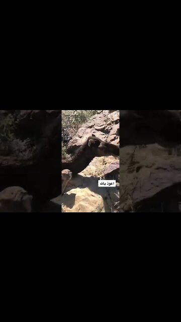 ١٢ نوفمبر، ٢٠٢٢