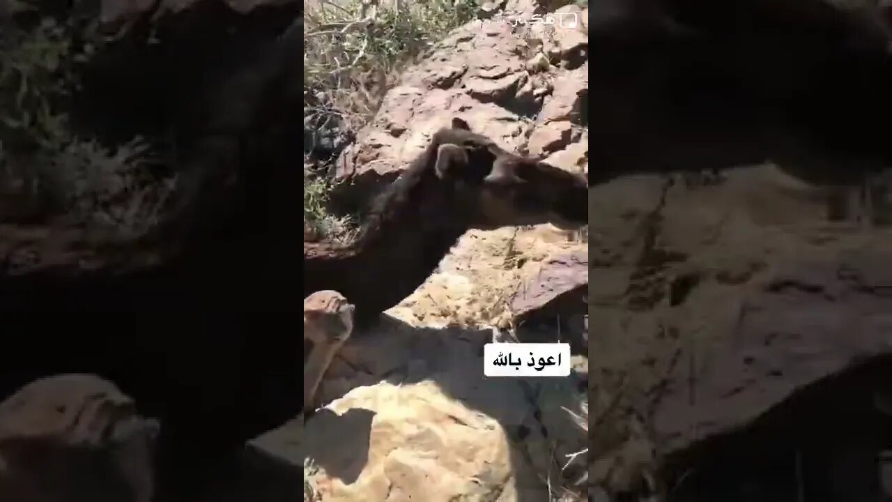 ١٢ نوفمبر، ٢٠٢٢