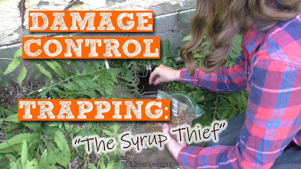 S2:E19 Damage Control Trapping: The Syrup Thief | Kids Outdoors