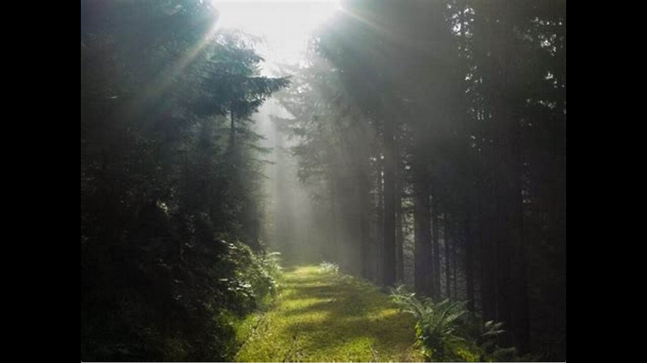 A Journey From Dark To Light ~ The Great Awakening