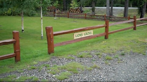 metal detecting at the lions recreational area in Fairbanks Alaska