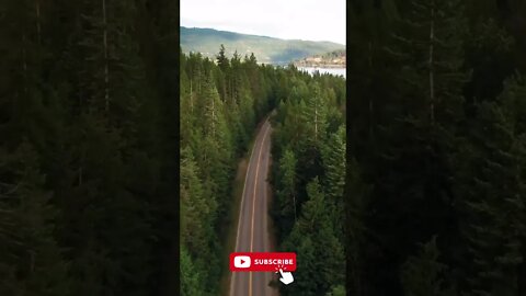 Chase Nature