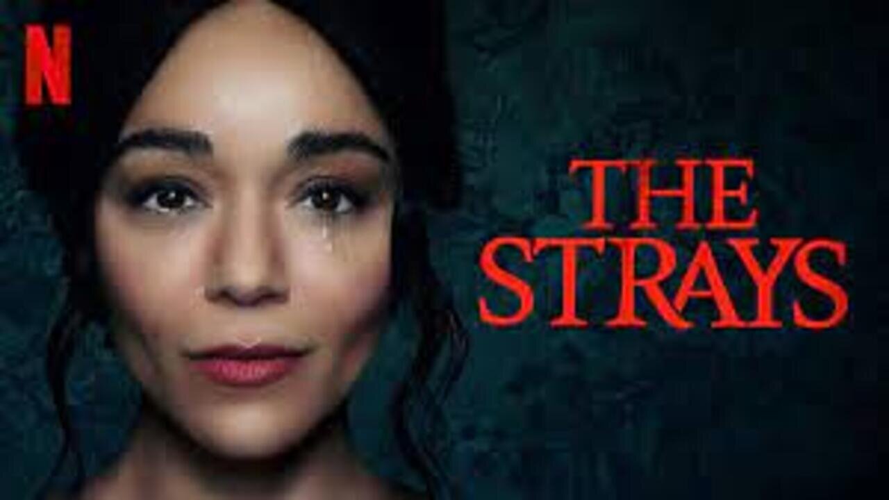 The Strays (2023) - Available to stream on Netflix - Watch now - Links in the description.