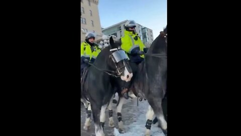 OTTAWA POLICE TRAMPLING PEACEFUL PROTESTORS **WTFFF****