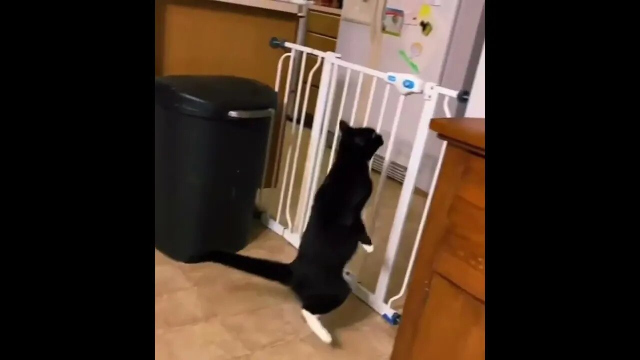 You can do it