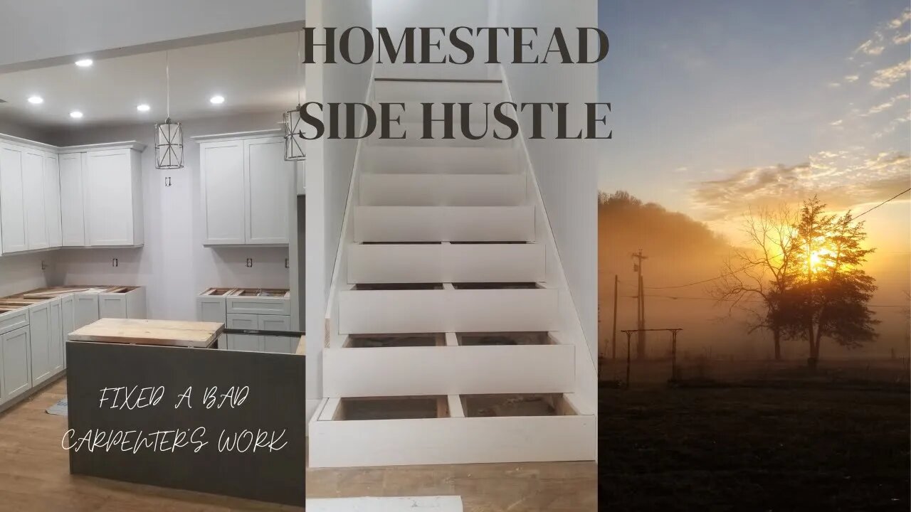 Homestead Hustle: Mastering Construction and Correcting Carpenter's Mistakes