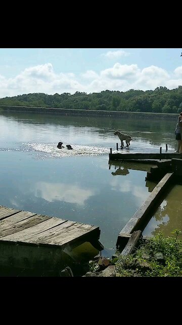 Too afraid to make the leap