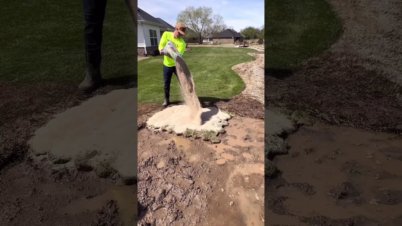 Hex Plugs to Fill in Lawn Mud Hole