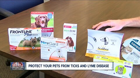 As we enter tick season, here's what you need to know to better protect you pets