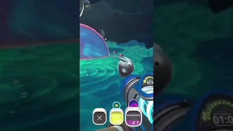 slime rancher catching Quicksilver limes for mochi
