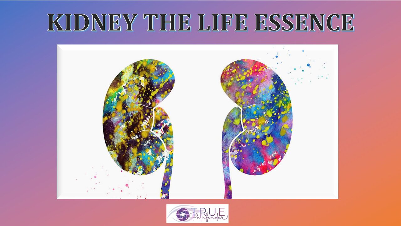 KIDNEY PROBLEMS AND THE ESSENCE OF LIFE | True Pathfinder