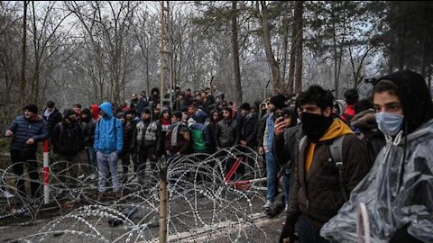 UMANITA' DEPRESSA VERSO IL MACELLO