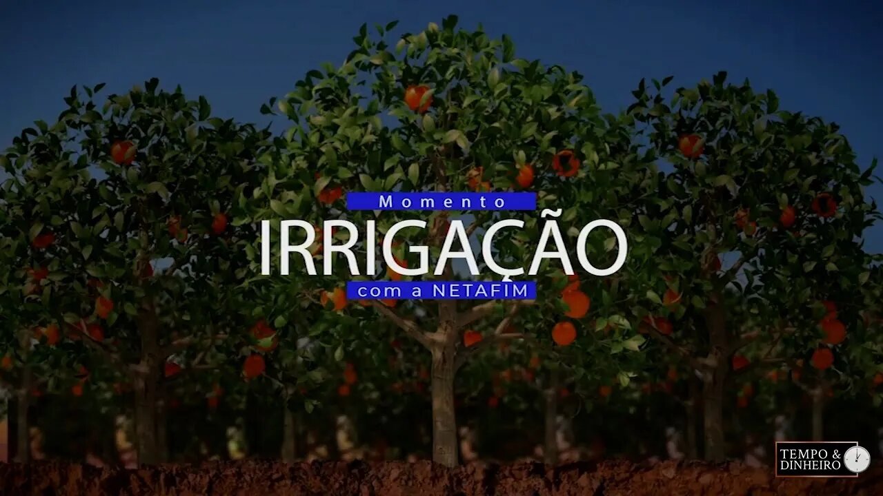 Momento Irrigação com Netafim