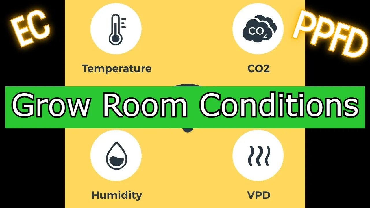 Athena VS Mills - Grow Room Conditions - EC / RH / PH / Temp / PPFD / CO2 PPM - Bloom Day 37
