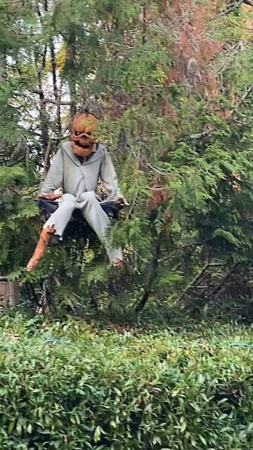 Overkill on the Halloween decor!