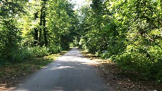 Forest Bike Tour