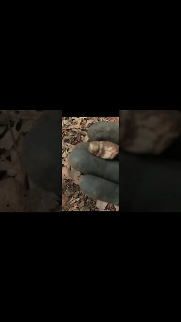 civilwar bullet #relics #coins #buttons #civilwar #trending #silver #metaldetecting #confederate