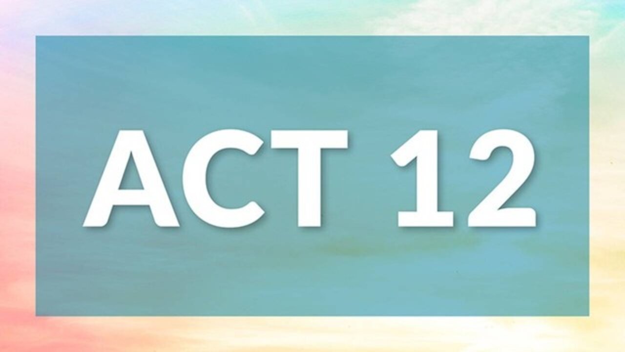 The BraveHeart Emotional Intelligence Masterclass - Act 12 - The Food Chain Is Broken