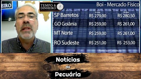 Boi patina com referência em SP a R$290 arroba e pressão sem dó da indústria