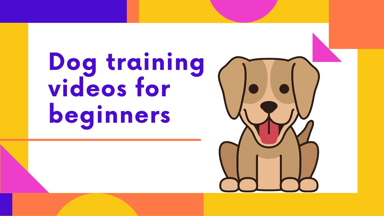 New dog owner training + Where to start dog training!