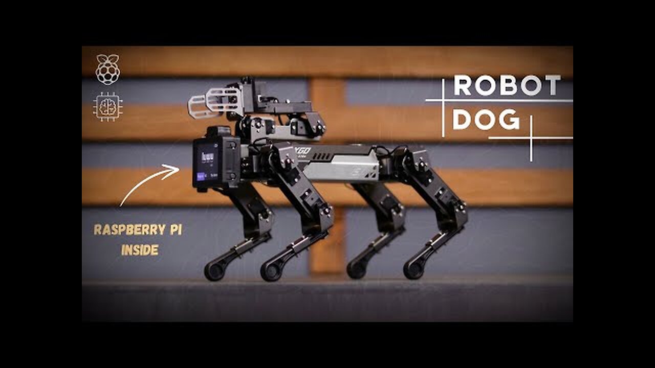 Meet My New Pet Dog Robot | CM4 XGO Robot