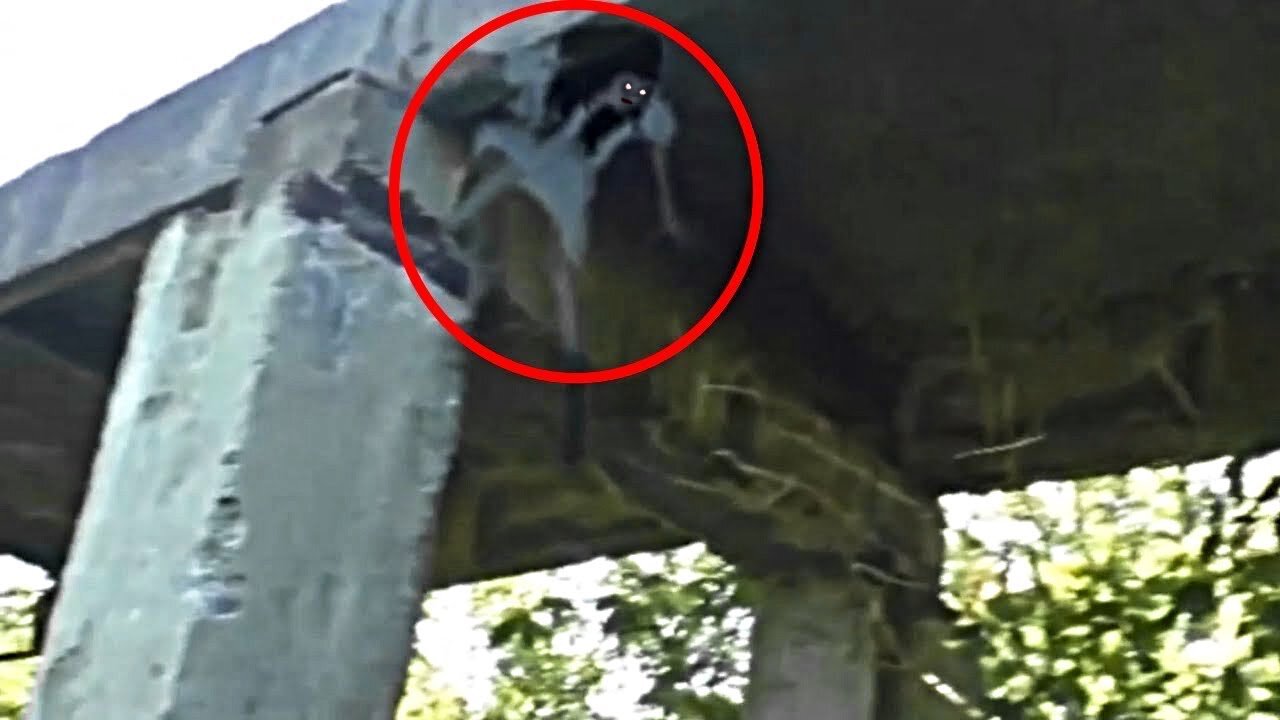 5 Most Scary And Shocking Videos On The Internet Scary Comp