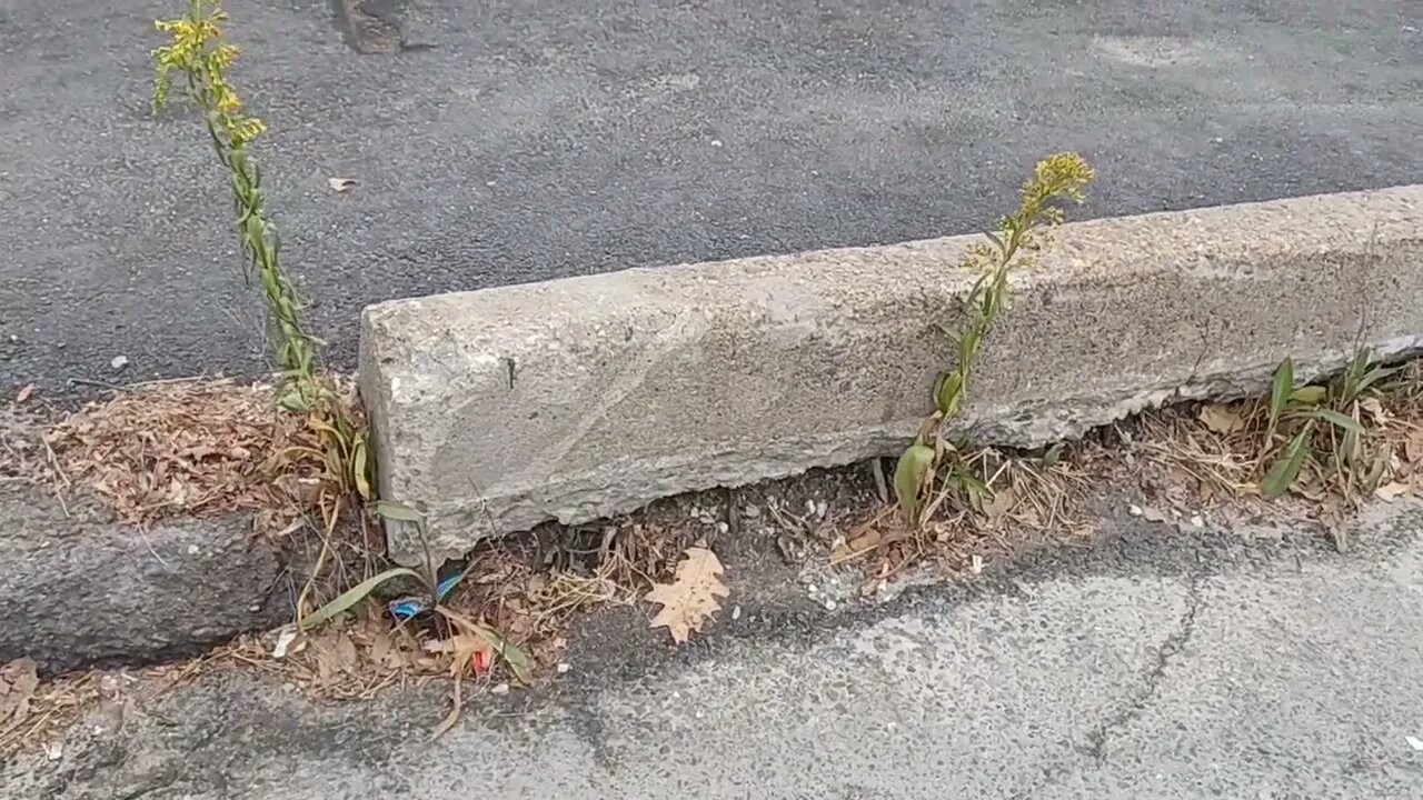 who is responsible for these bridges in the city of Boston