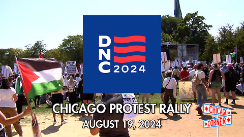 Voices from Chicago's Union Park DNC Protest Rally