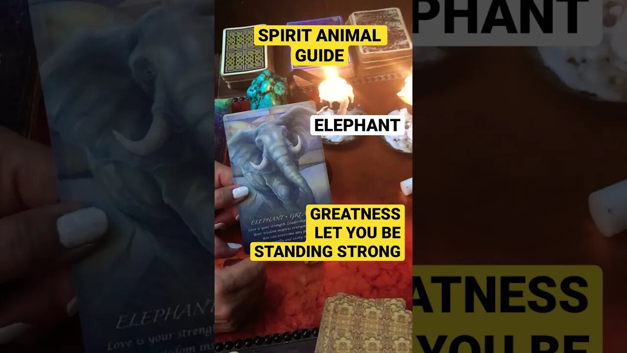 #shorts #shortsfeed #animalspiritguides #spiritualawakening 🐘SPIRIT GUIDE 🦋💥⚡️IN YOUR GREATNESS