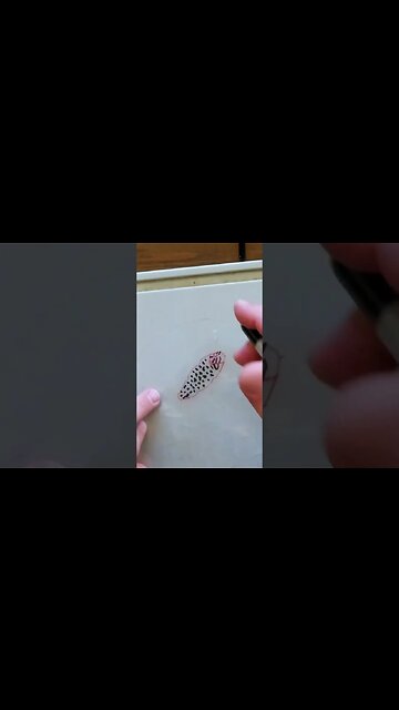 Mini Sunfish Stencil - Short