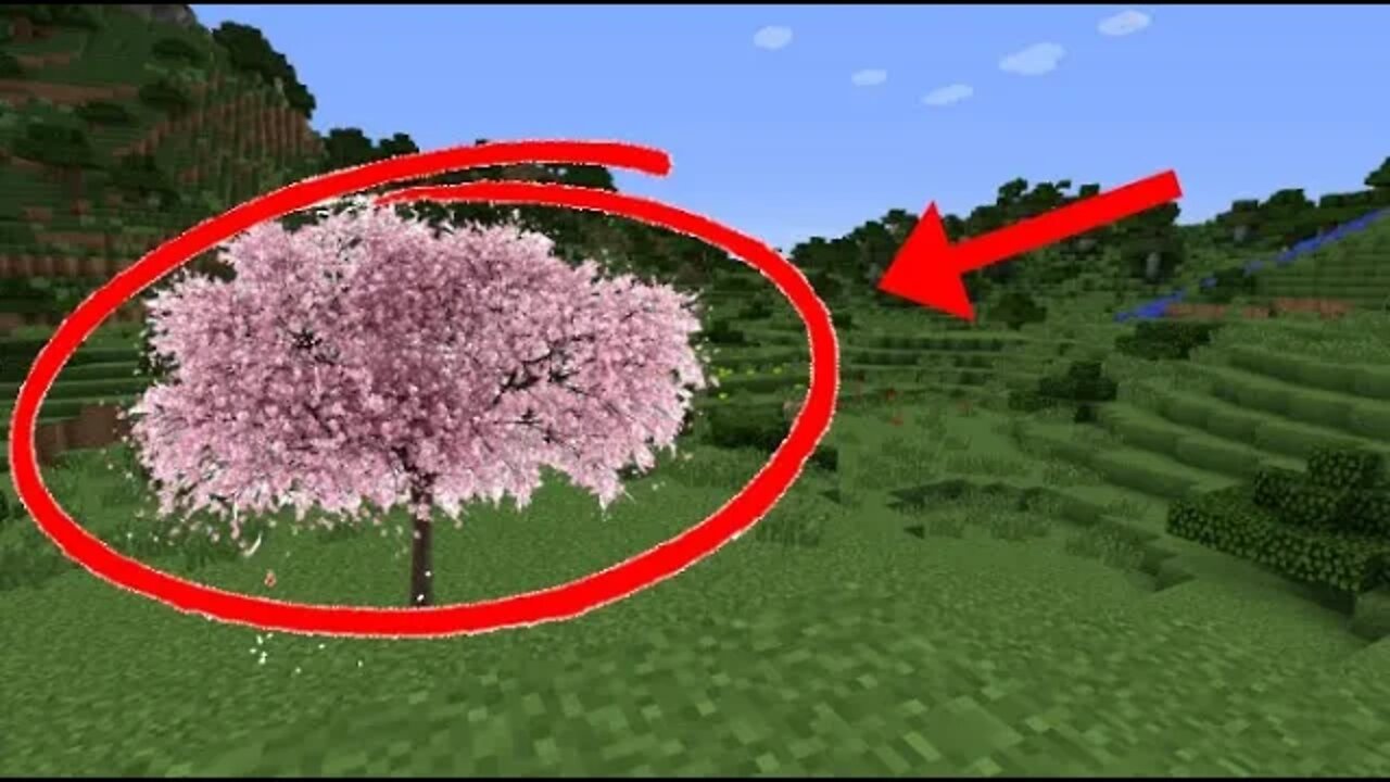 When Mojang Accidently Adds Cherry Trees to Minecraft...