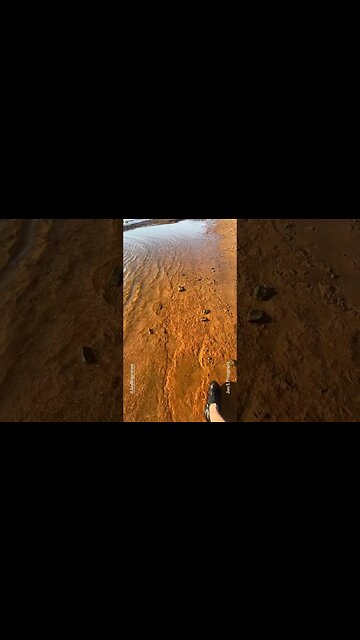 Daily Inspirational Quotes