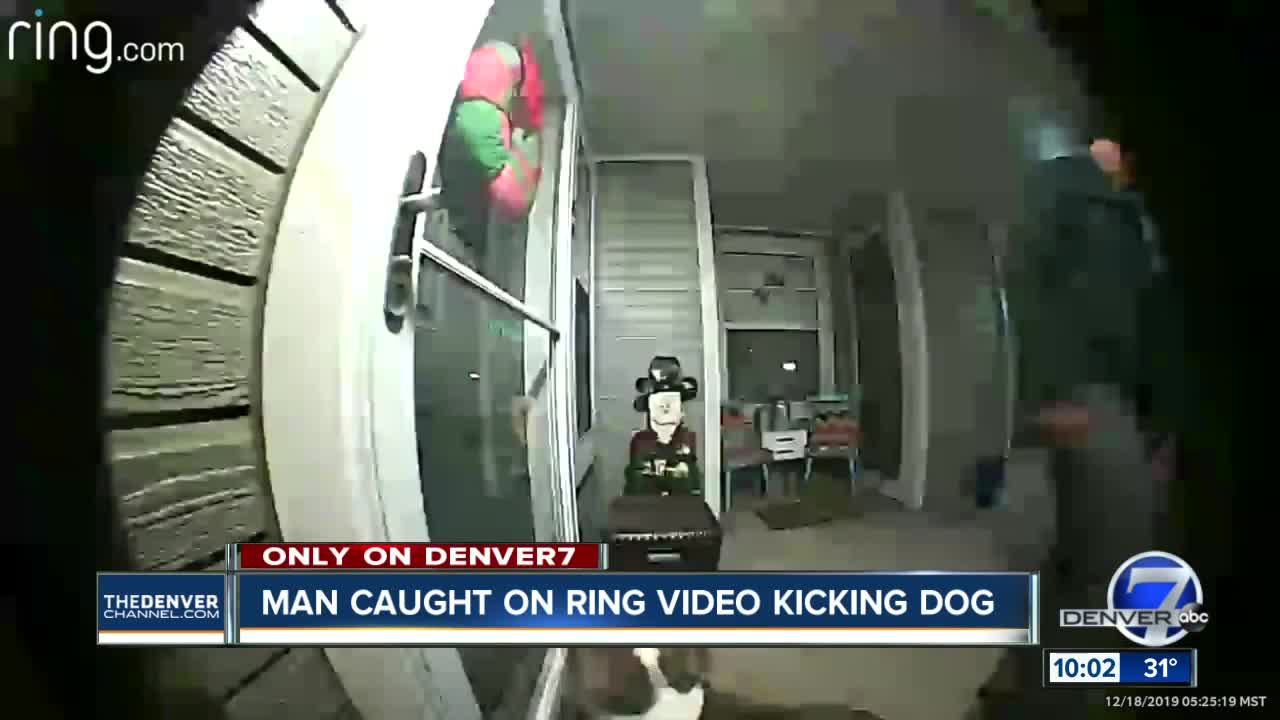 Man caught on Ring camera kicking dog is charged with animal cruelty