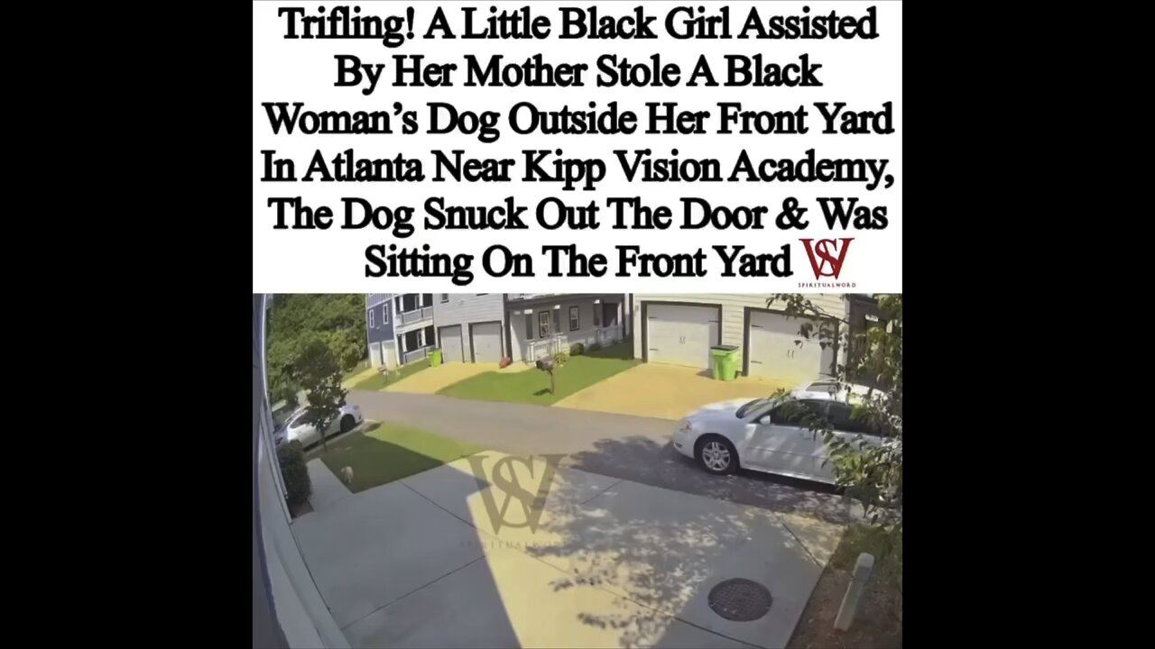 Mom teaches daughter how to steal the neighbors dog. Black mothers are the worst