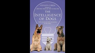 Develop Your Dogs Hidden Intelligence