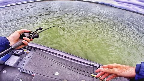 Why You Never GIVE UP Fall Bass Fishing