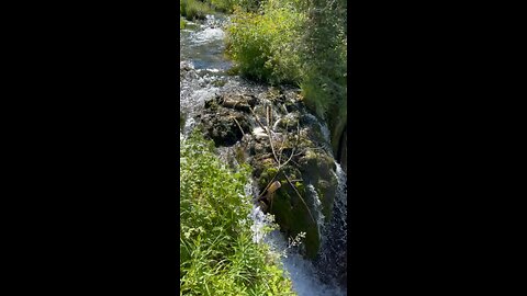 Spearfish Canyon