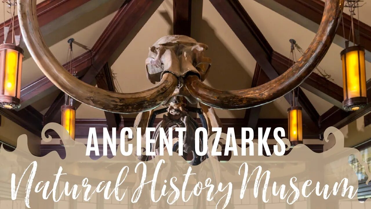 Ancient Ozarks Natural History Museum | Top of the Rock | Ridgedale, MO | Visiting Branson Area