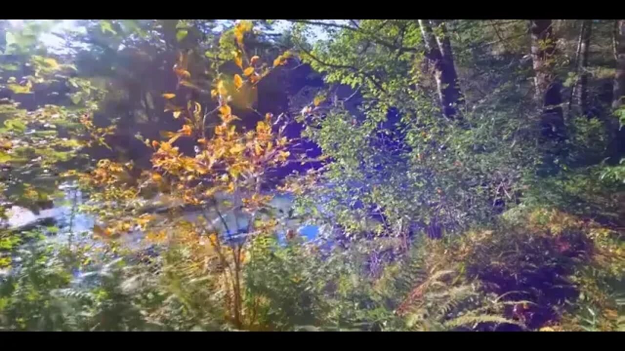 First Day of Fall 🍂 Autumn Overnight at Off Grid Riverside Cabin 🍁 Fall Foliage Adventures 1