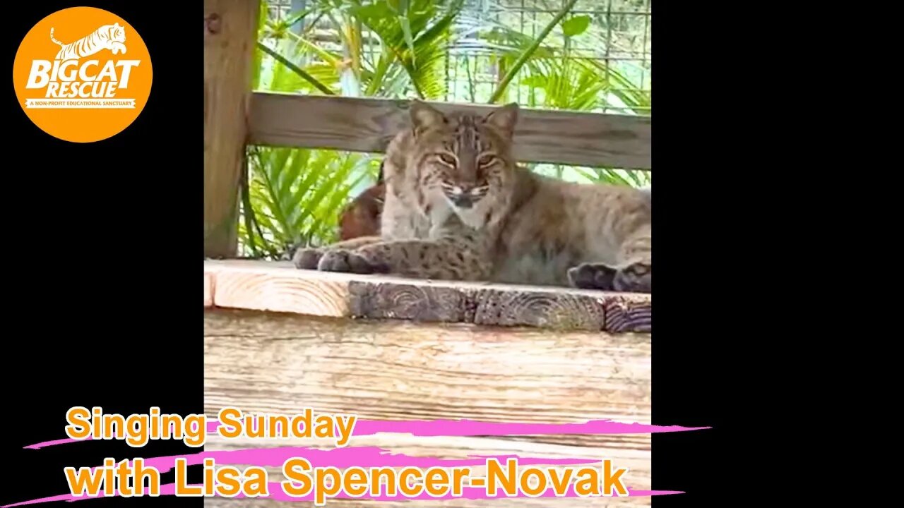 It’s Singing Sunday with Lisa Spencer-Novak and Carole Baskin at BigCatRescue.org 07 16 2023