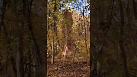 Charles Remey's tomb in Lorton, Virginia was never used. So why does it lay in ruins?