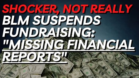 BLM Suspends Fundraising Due To Missing Financial Reports. Shocker.....no one said.