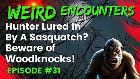 Hunter Lured In By Sasquatch? Beware Of Wood Knocks! | Weird Encounters #31