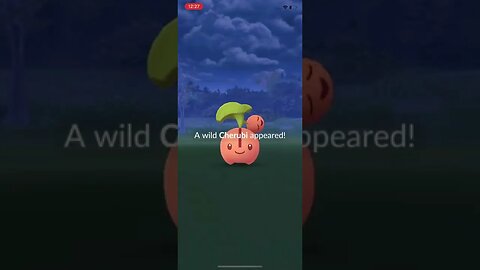 Shiny cherubi
